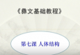 滇南彝语文第七课：身体结构（视频）