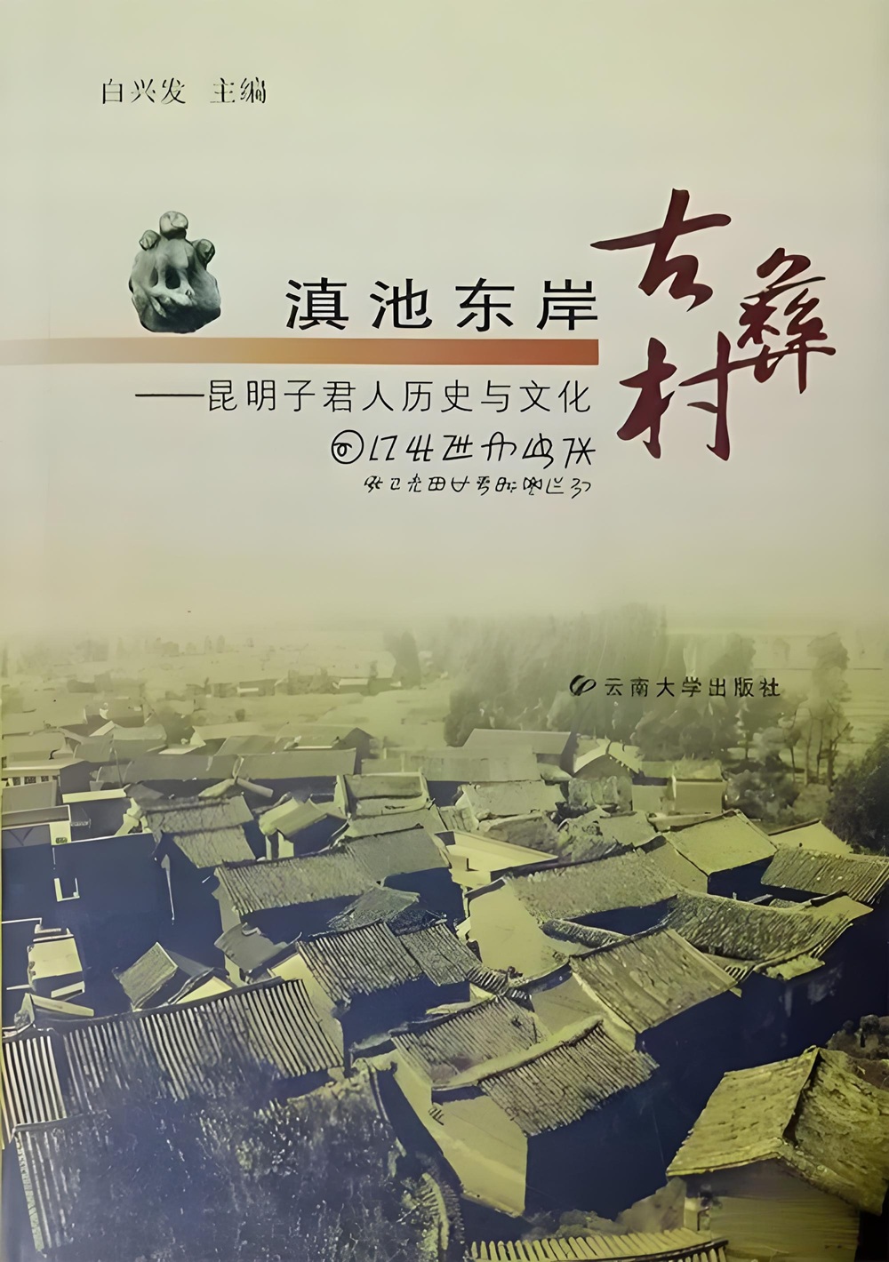 白兴发彝族村寨.jpg