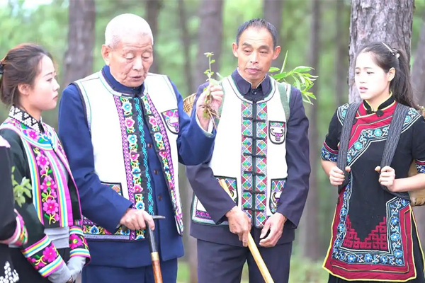 彝族医药文化